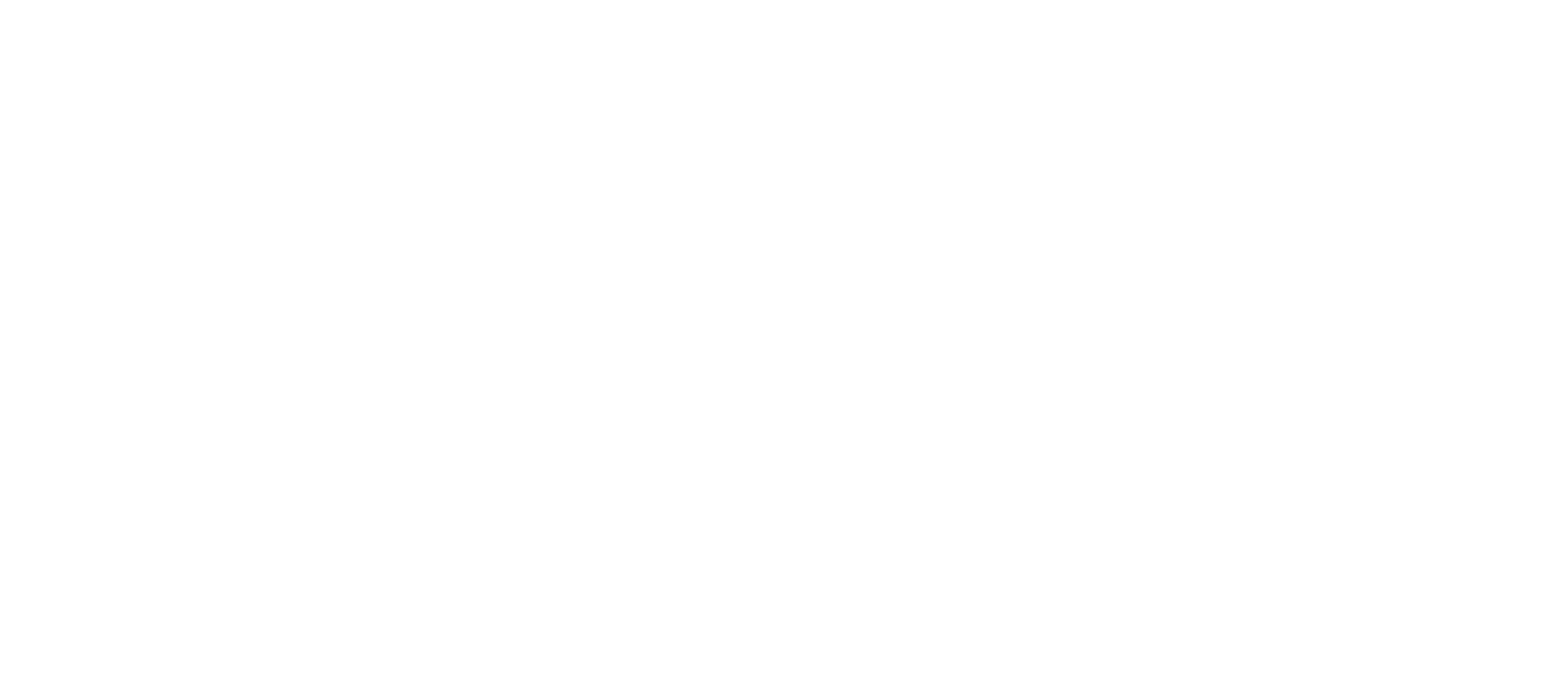Net Impact Washington DC Professional Chapter